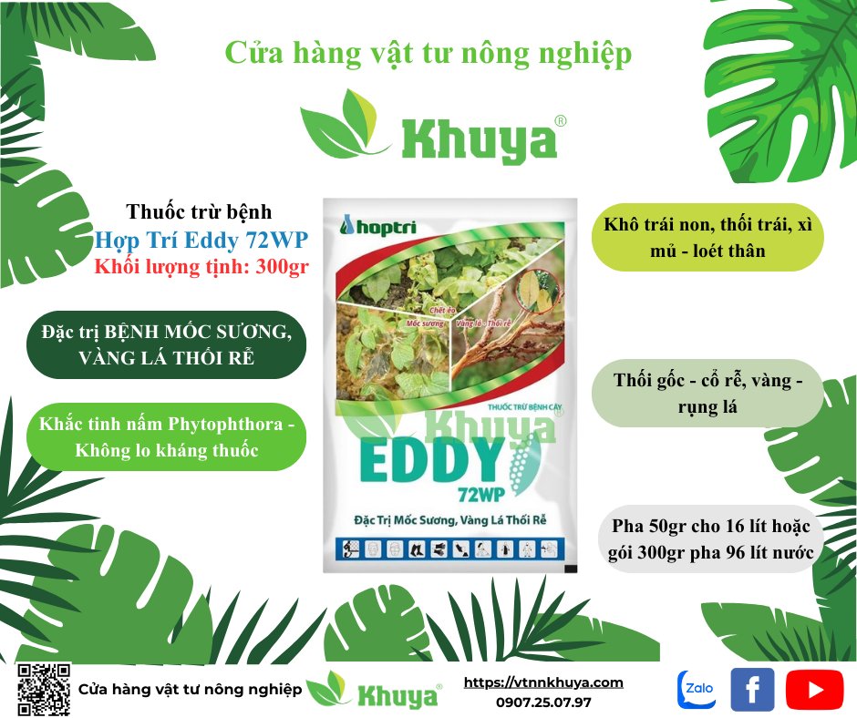HT Eddy 72WP 300gr