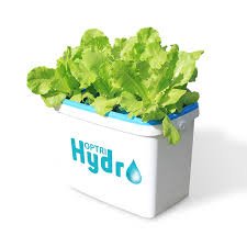 HT Leafy Growbox lẻ không phân bón