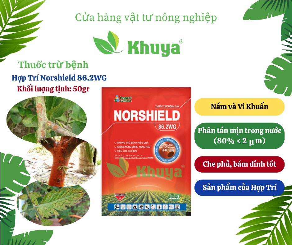 HT Norshield 86,2WG 50gr