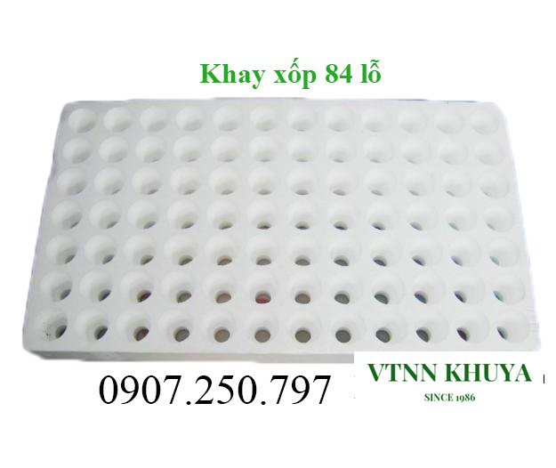 Khay ươm hạt 84 lỗ