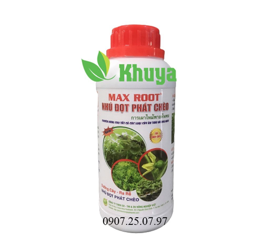 Max Root Nhú Đọt-Phát Chèo 500ml