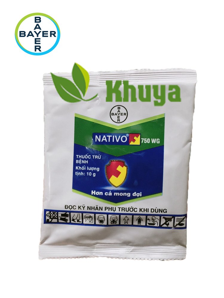 Nativo 750WG 10gr