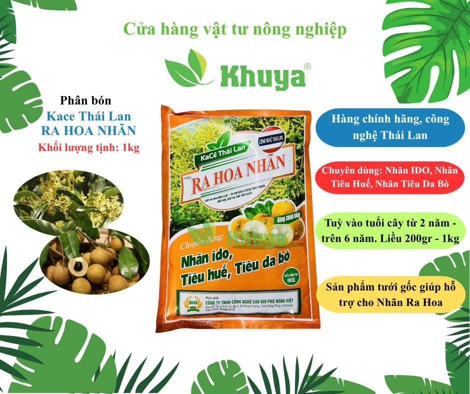 AE Ra Hoa Nhãn Thái 1kg