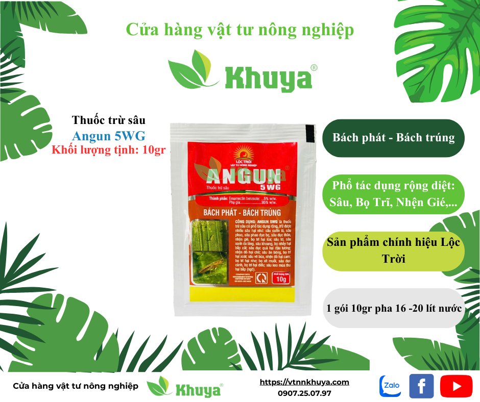 Angun 5WP 10gr
