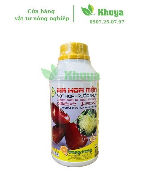 Arrow Ra hoa mận 500ml