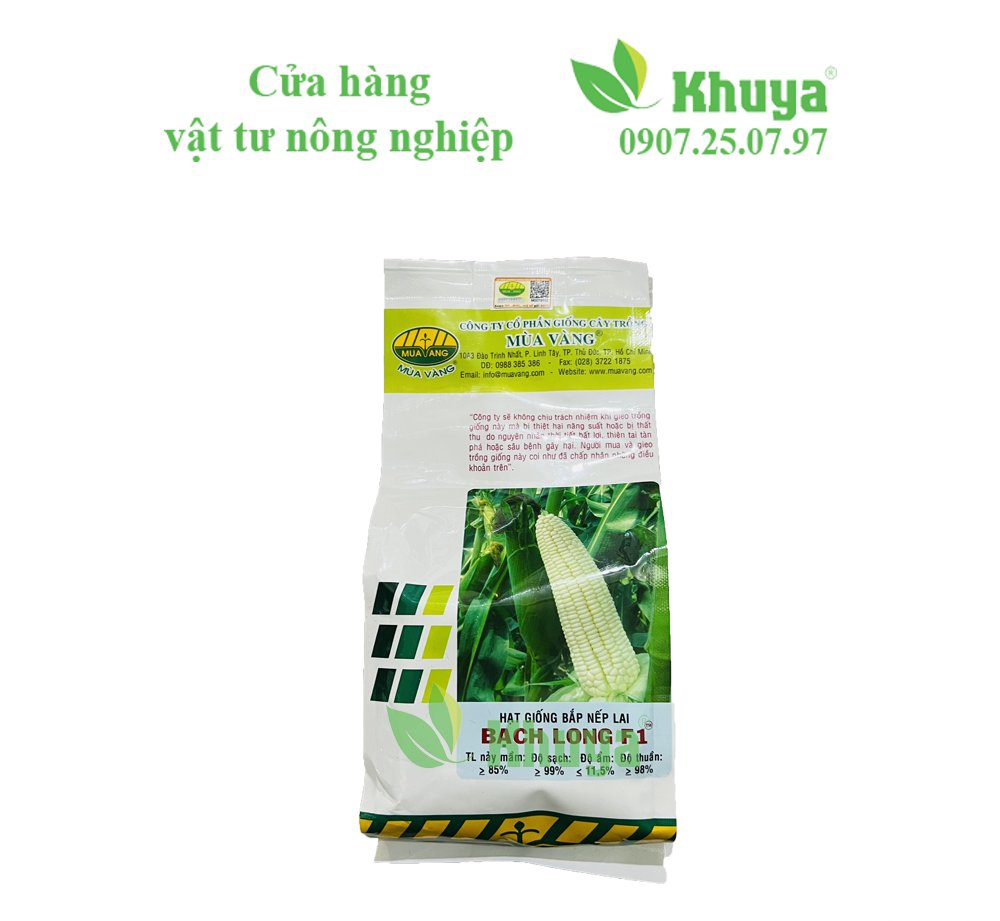 Bắp Bạch long 500gr