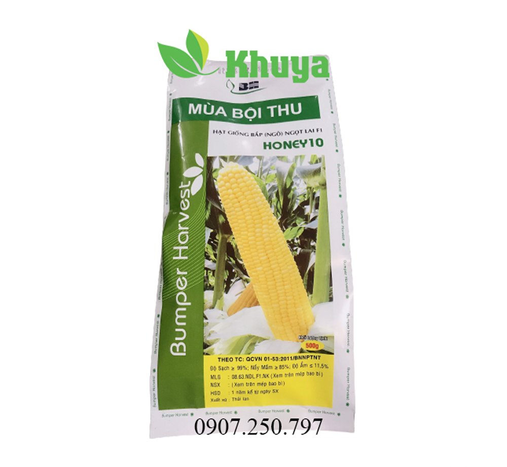 Bắp Honey 10 500gr