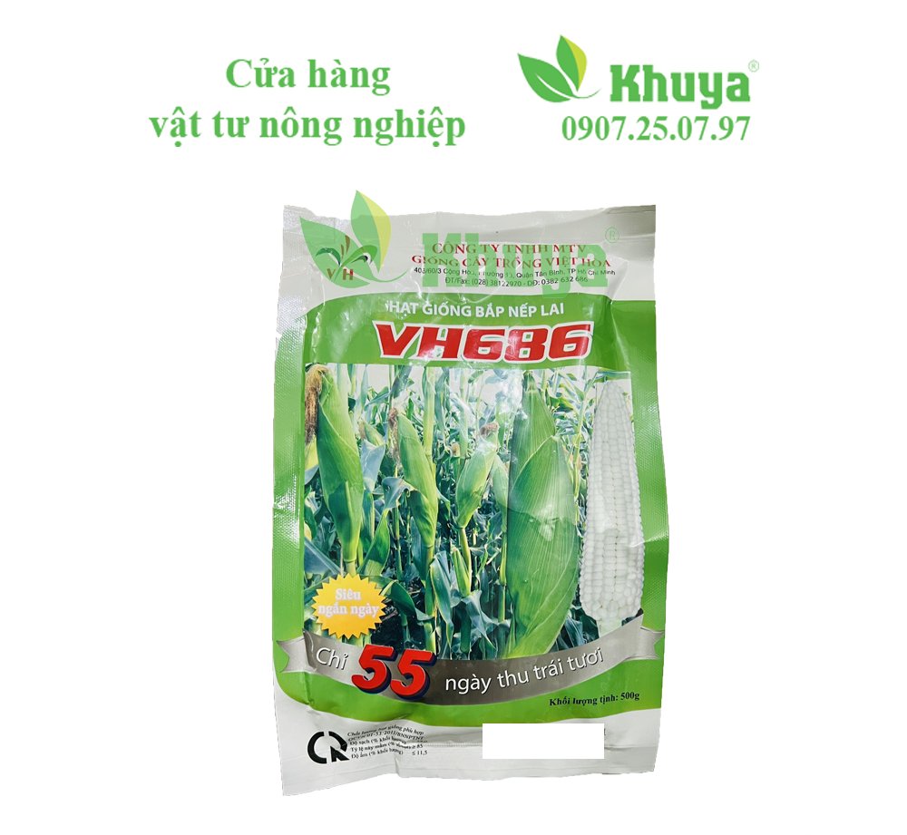 Bắp VH686 500gr