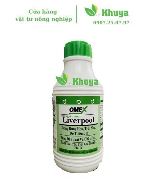 Boly Liverpool 500ml
