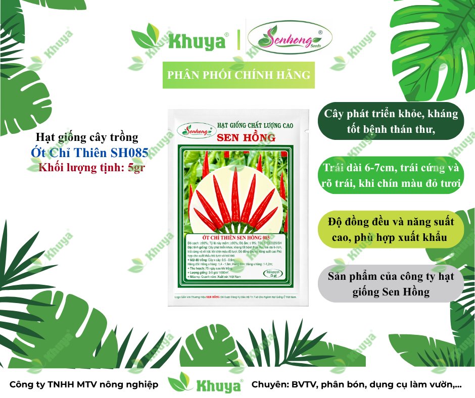 Ớt Sen Hồng 085 5gr