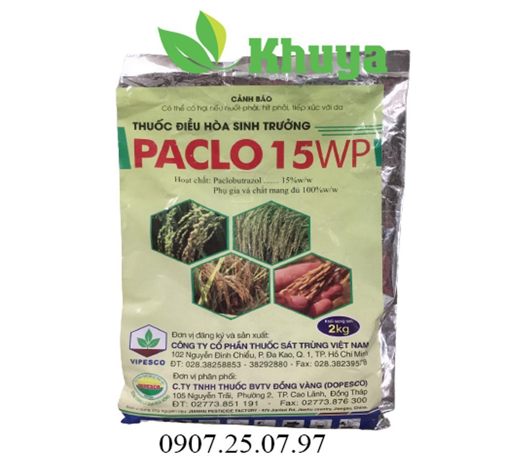 Paclor 15WP 2kg