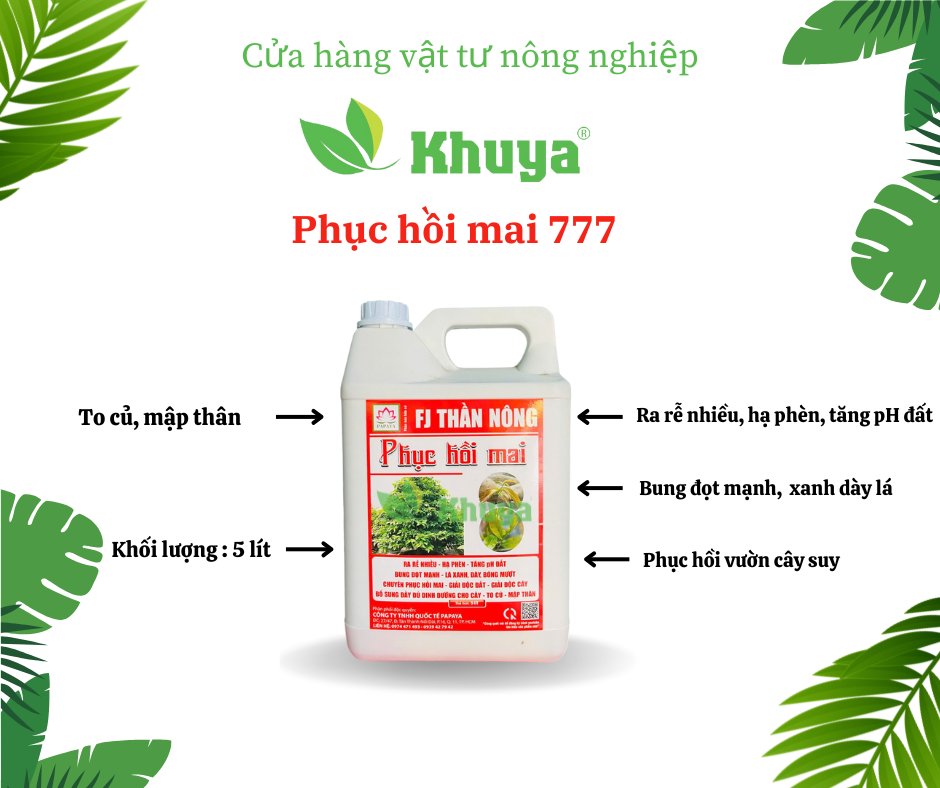 Papaya Phục Hồi Mai 777 5 lít