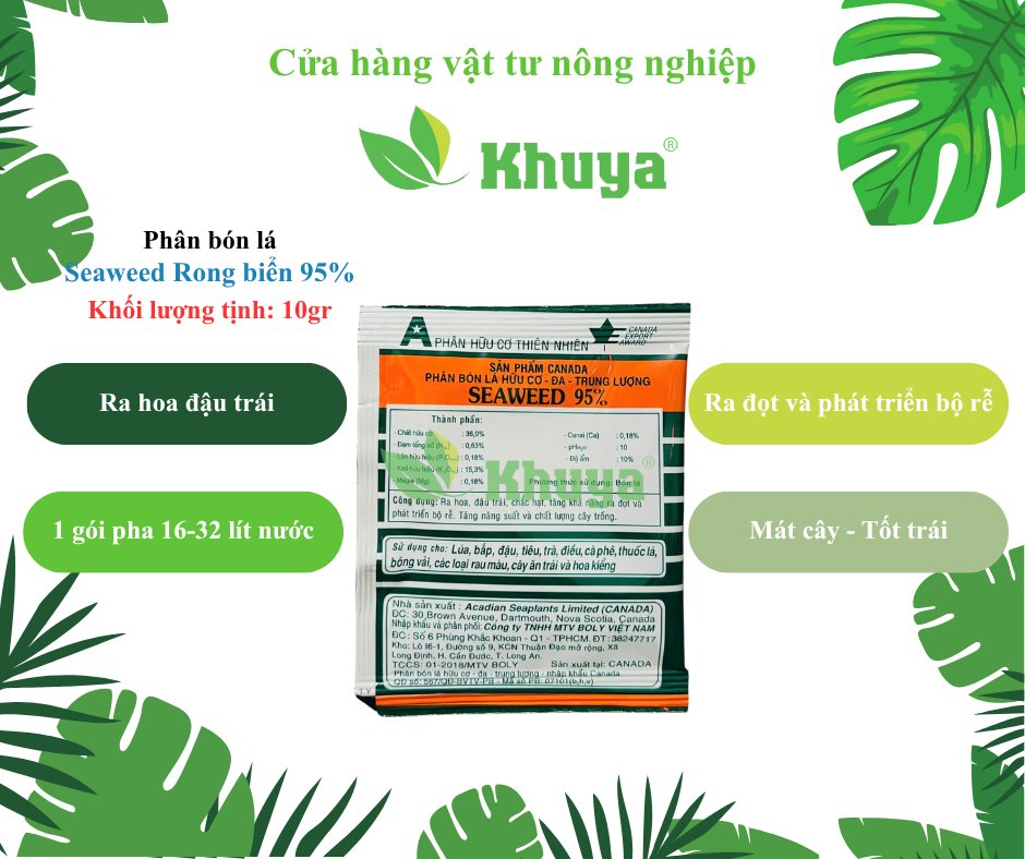 Seaweed Rong biển 95% 10gr gói