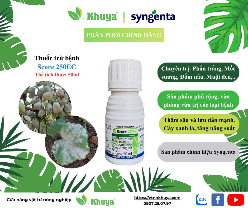 Score 250EC 50ml