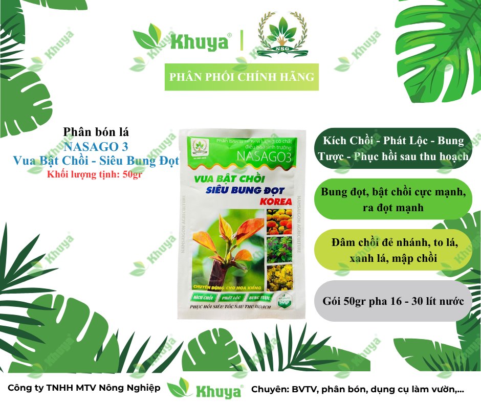 NSG NASAGO 3 Vua Bật Chồi 50gr