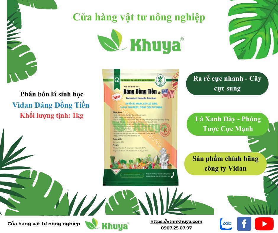 Vidan Đáng đồng tiền 1kg