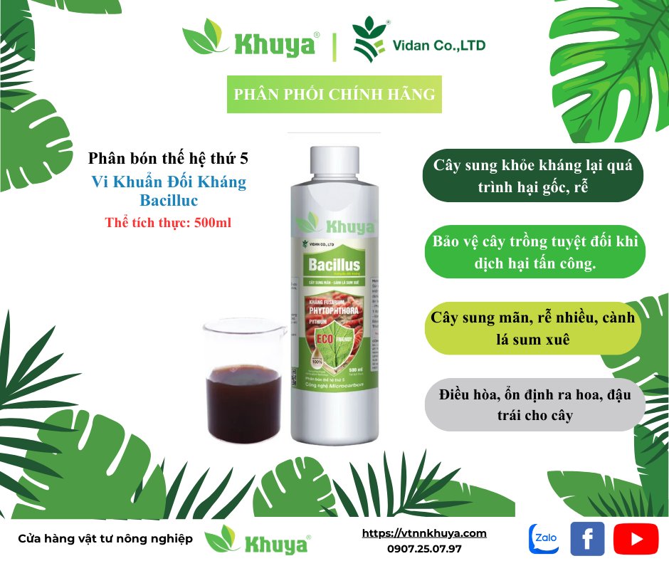 Vidan Vi khuẩn đối kháng 500ml