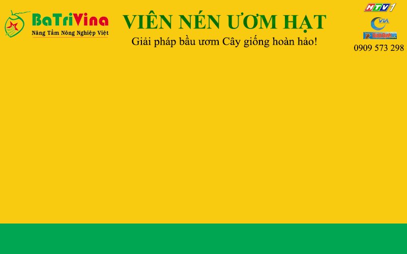 Viên nén ươm hạt