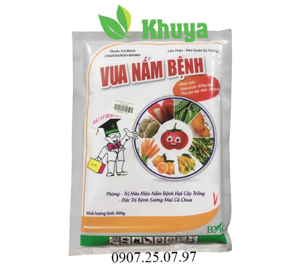 Vua Nấm Bệnh 500gr