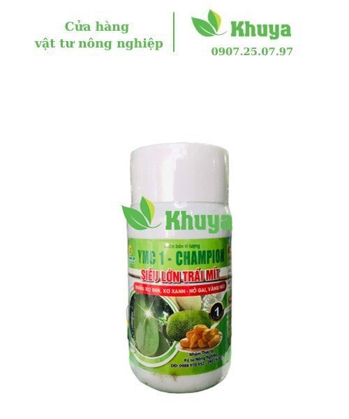 Ý MỸ Siêu lớn trái Mít 500ml