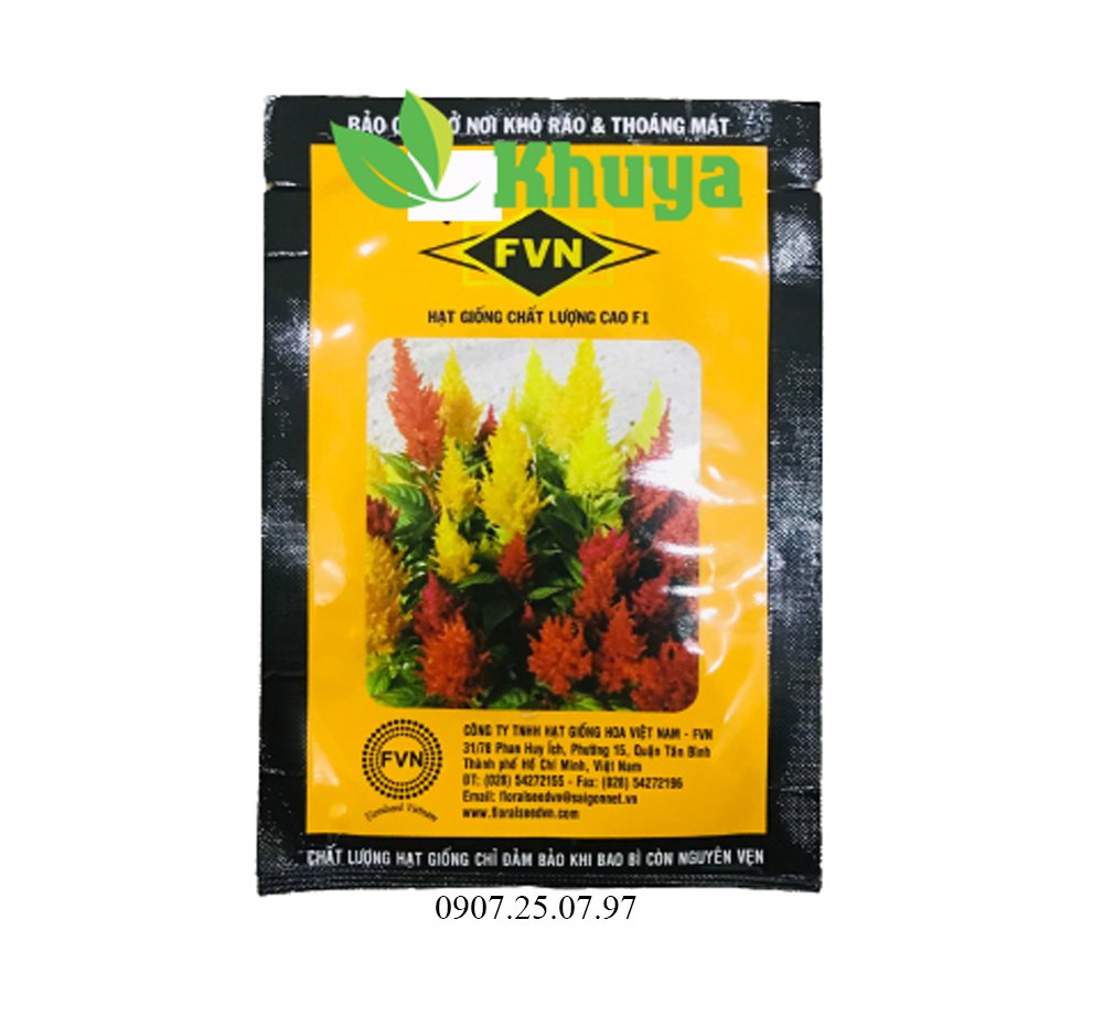 Hoa Mào Gà Lửa Mỹ FVN CEL110 Mix Màu