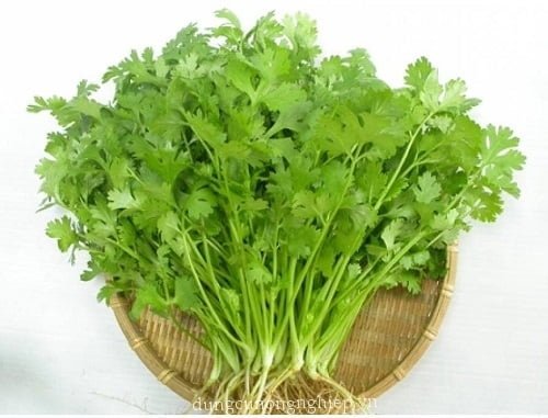 Ngò rí Ngọc Phát 100gr