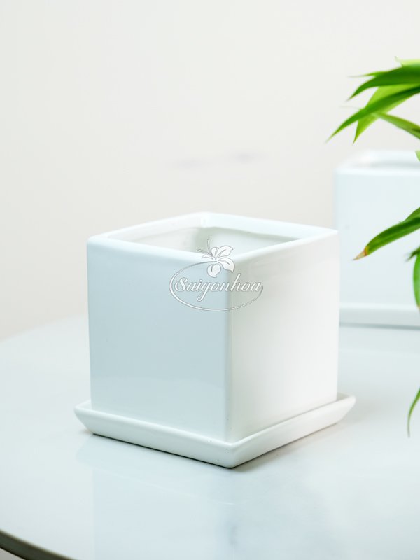 Chậu Vuông Trắng Kèm Dĩa Lót Sứ