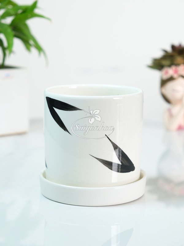 Chậu Sứ Trụ Dĩa Lót Lá