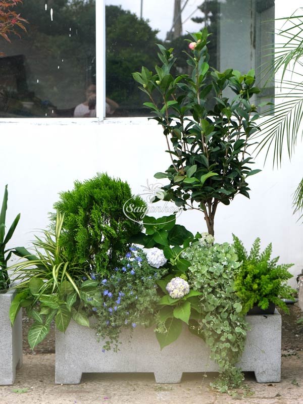 Bồn Cây Hoa Đa Tầng Trang Trí Lối Vào