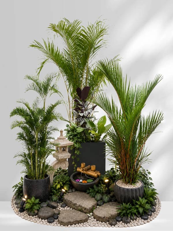 Bộ Cây Cau Cảnh Decor Giếng Trời