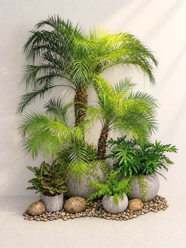 Bộ Cau Nga Mi Decor Giếng Trời