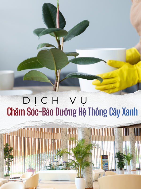 Dịch Vụ Chăm Sóc-Bảo Dưỡng Hệ Thống Cây Xanh