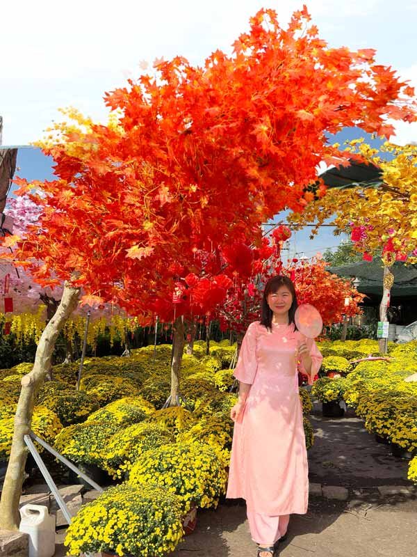 Cây Phong Dáng Huyền Trang Trí