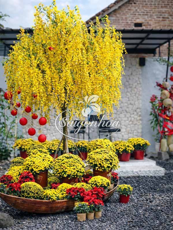 Combo Thuyền Hoa Đón Lộc