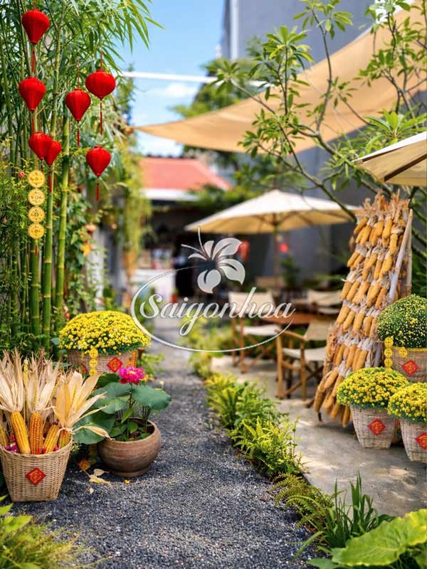 Combo Hoa Tết Góc Xuân Quán Nhỏ