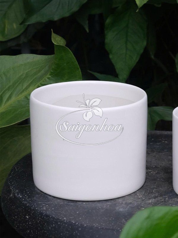 Chậu Sứ Trụ Thấp Trắng 16