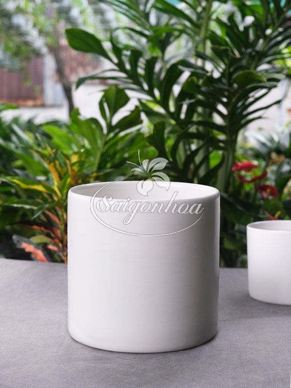 Chậu Sứ Trụ Cao Trắng 13