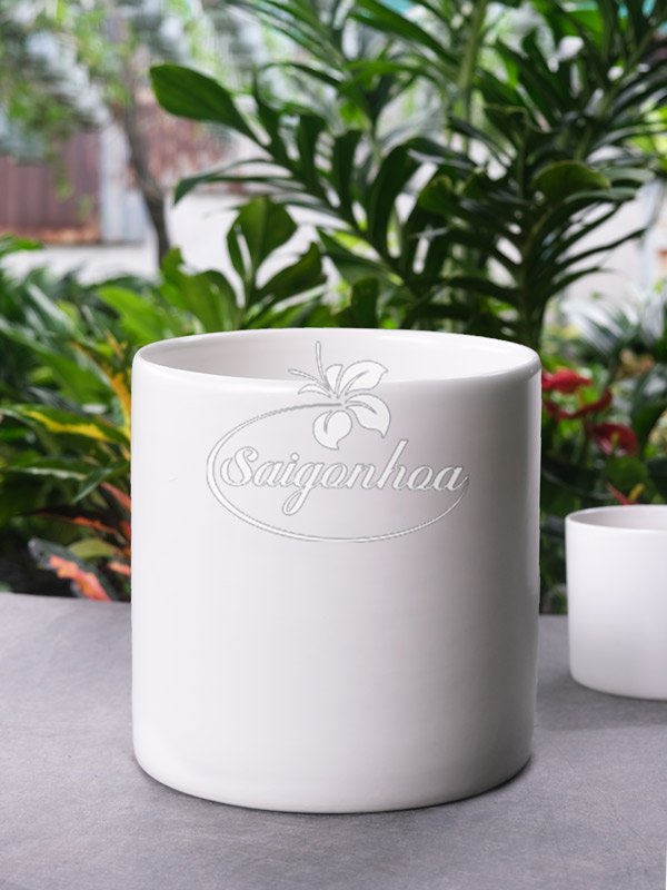 Chậu Sứ Trụ Cao Trắng 16