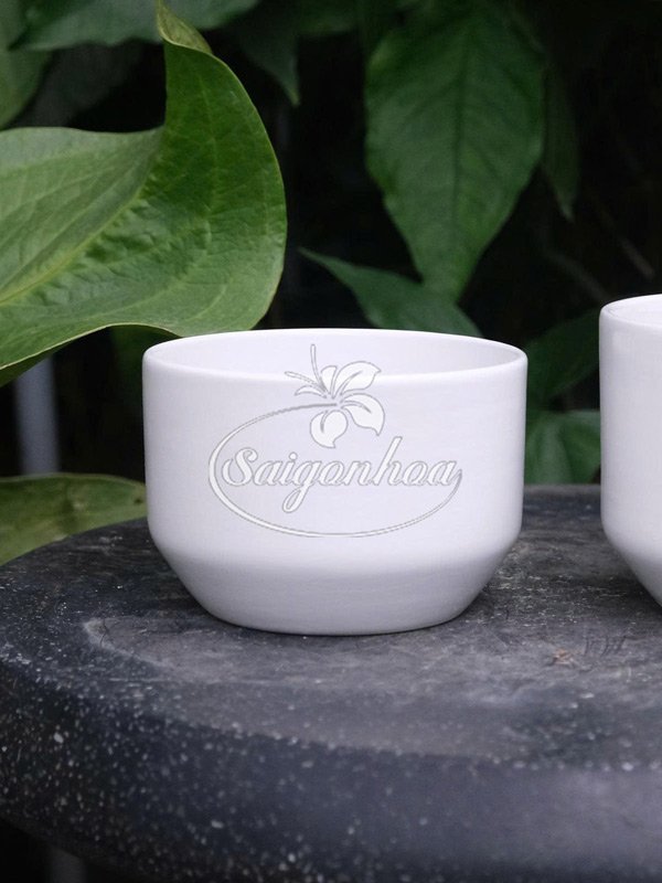 Chậu Sứ Kim Cương Trắng 12