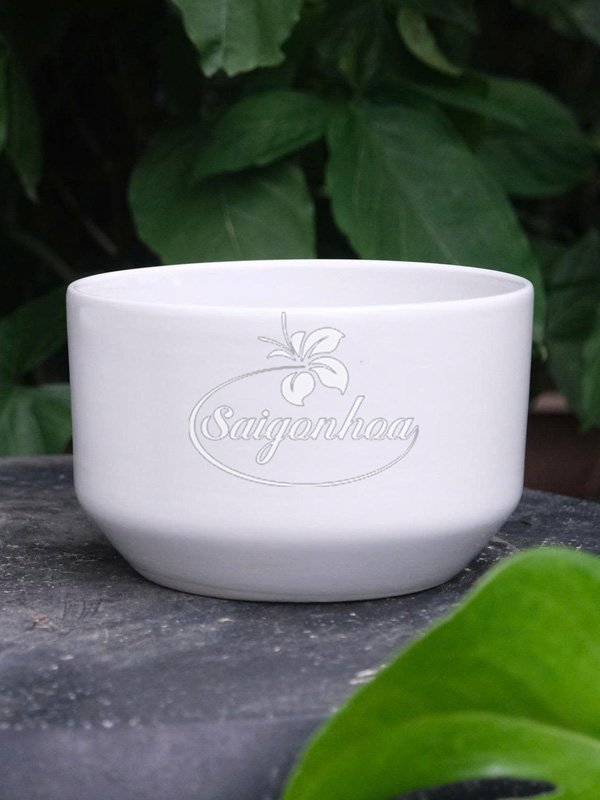 Chậu Sứ Kim Cương Trắng 15
