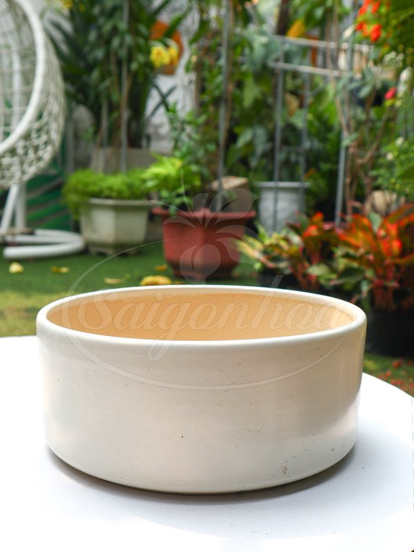 Chậu Sứ Ang Trụ Trắng 16