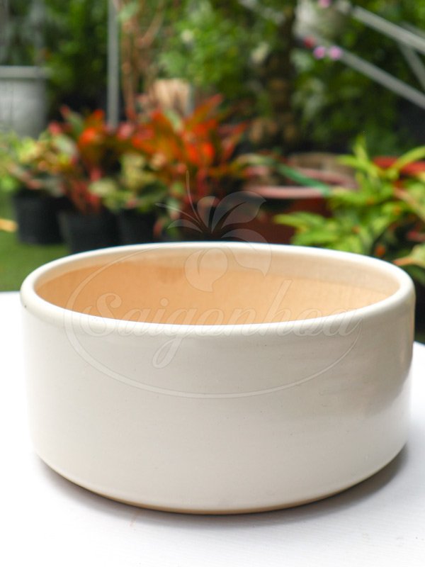 Chậu Sứ Ang Trụ Trắng 19.5