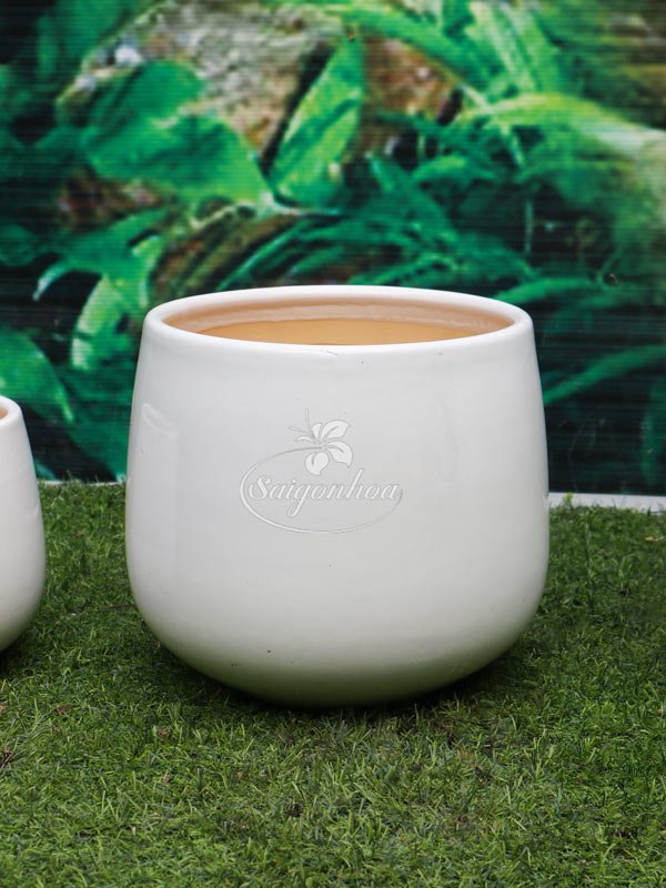 Chậu Sứ Bo Miệng 22