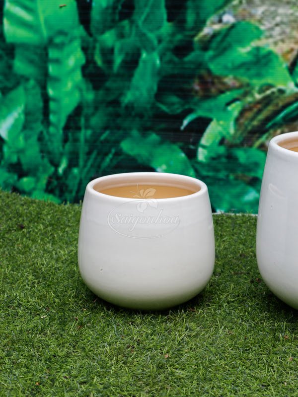 Chậu Sứ Bo Miệng 16
