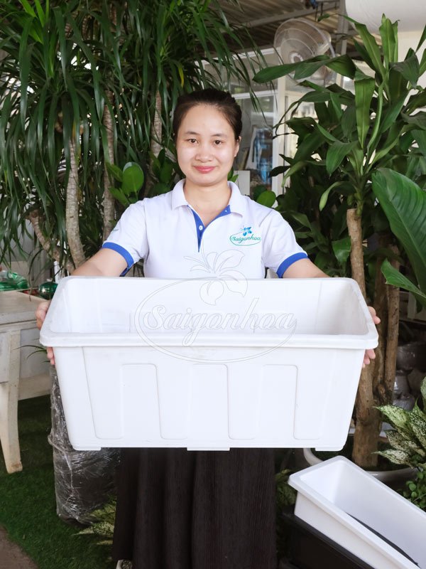 Chậu Nhựa Chữ Nhật 63 x 25 x 30