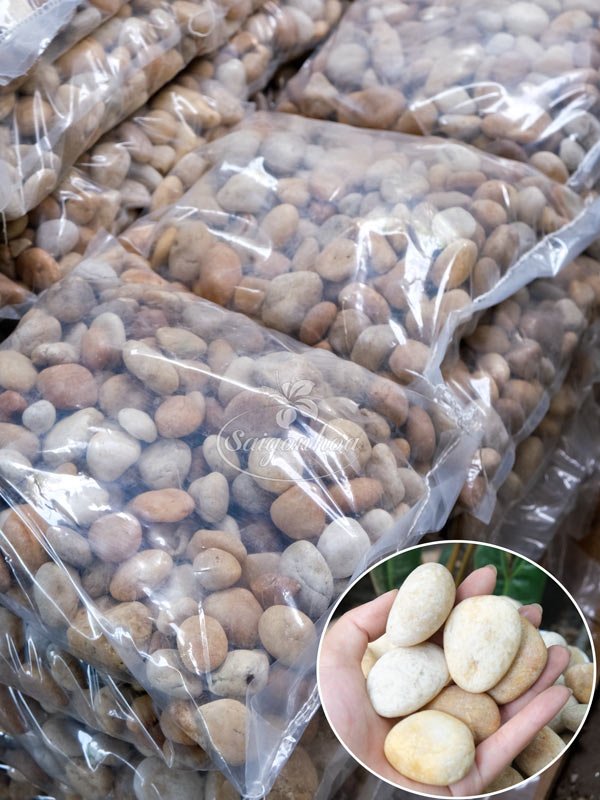 Sỏi Tự Nhiên