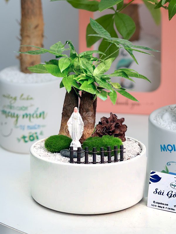 Chậu Cây Kim Ngân Tiểu Cảnh Tượng Đức Mẹ