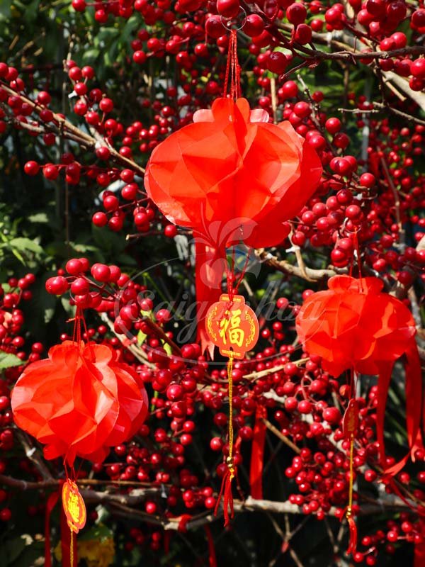 Lồng Đèn Nilon Đỏ Trang Trí Tết