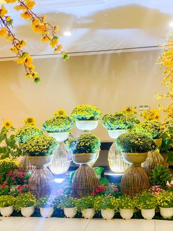 Tiểu Cảnh Mâm Xôi Nơm Tre