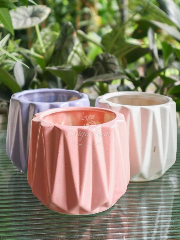 Chậu Sứ Khía Bo Miệng 11